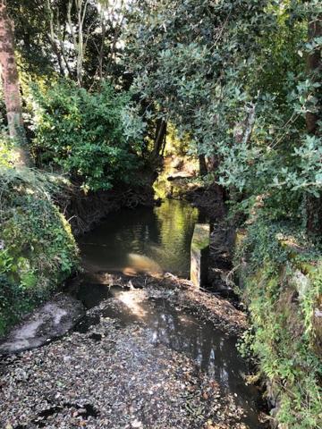 Du Moulin De La Virvee Saint-Andre-de-Cubzac